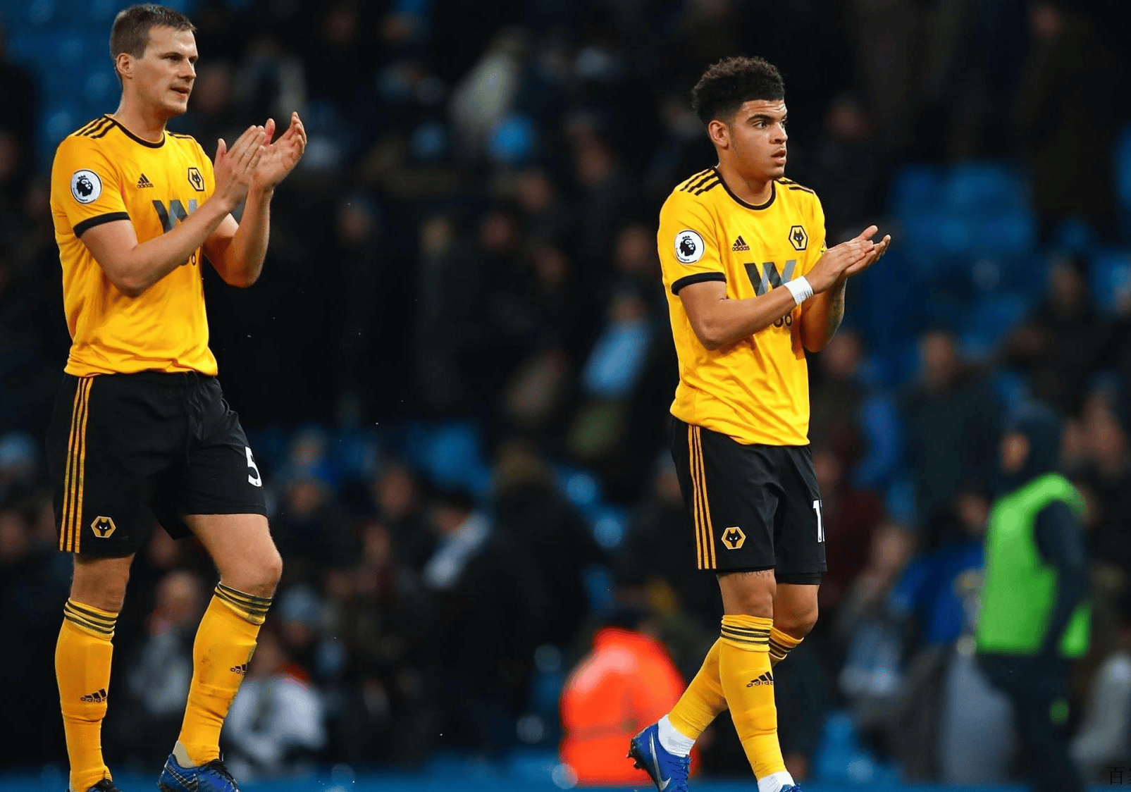 狼队主场不敌，保级攸关战战沉浮的简单介绍